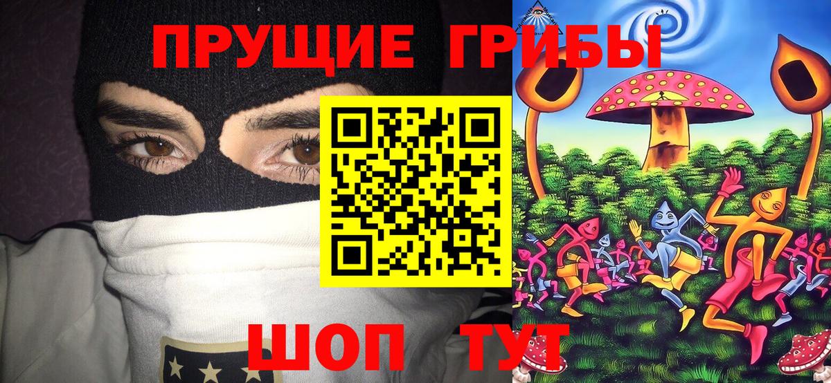 Галлюциногенные грибы Psilocybe Кирово-Чепецк
