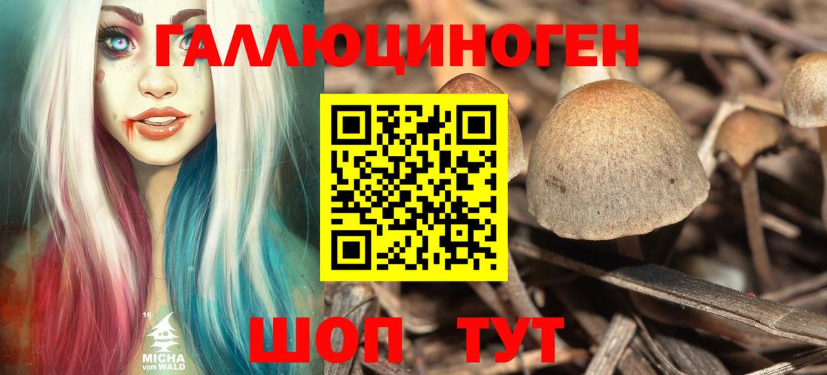 Кирово-Чепецк  Галлюциногенные грибы мицелий  Вход с VPN  Галлюциногенные грибы GOLDEN TEACHER 